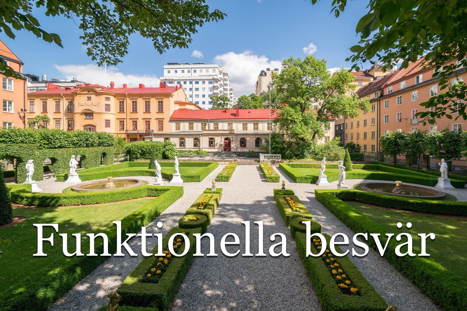 Funktionella besvär i primärvård - kurs i Stockholm