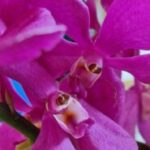 Profilfoto av Agnes Winciorek