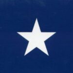 Profilfoto av Alen Lolic